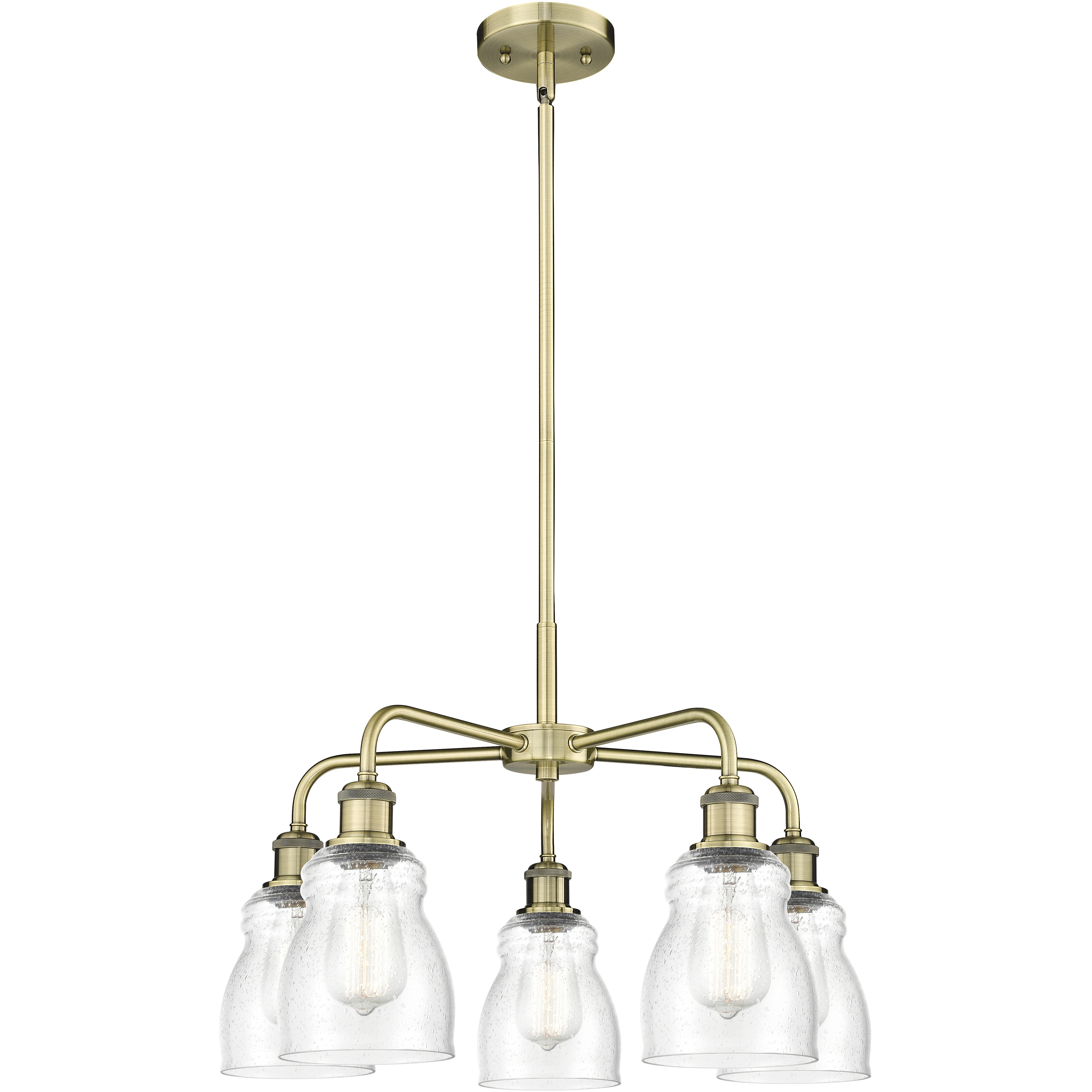 Ellery 5 Light 22.75 inch Antique Brass Chandelier Ceiling Light in Seedy Glass