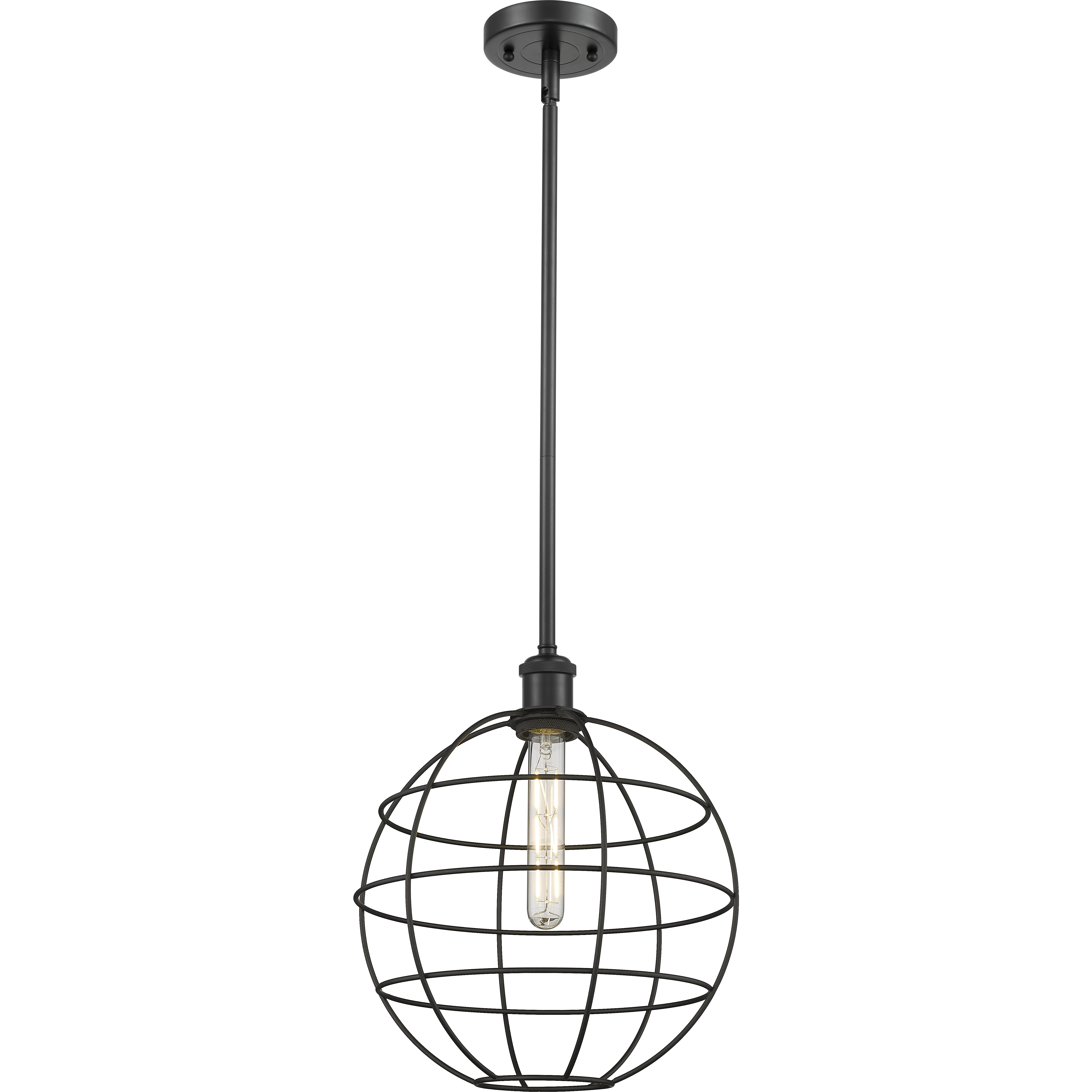 Lake Placid 1 Light 12 inch Matte Black Pendant Ceiling Light