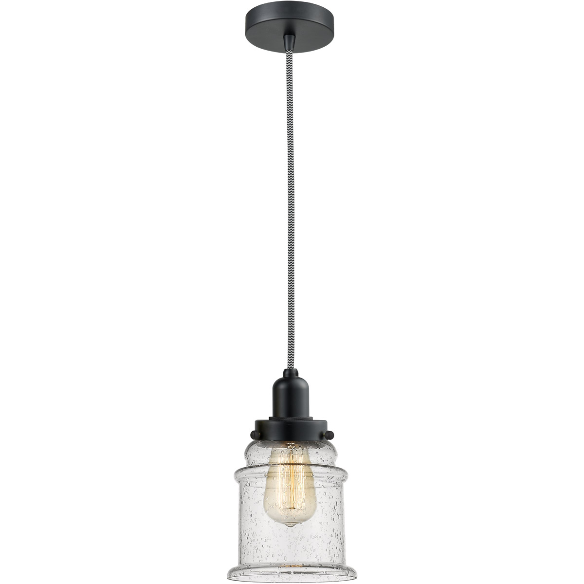 Whitney Canton 1 Light 8 inch Matte Black Mini Pendant Ceiling Light in Zebra, Whitney
